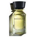 Oman Luxury Wanderlust eau de parfum 100 ML